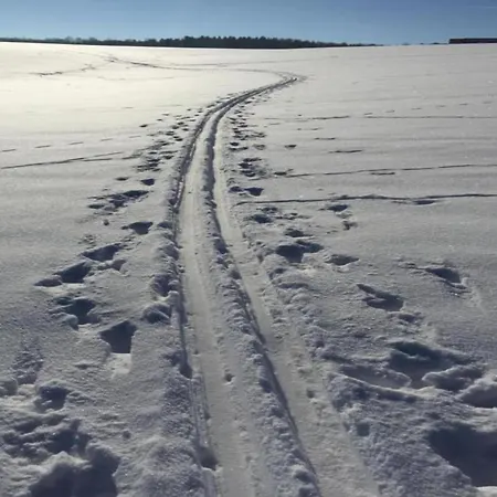 Casa de Férias Welcoming In