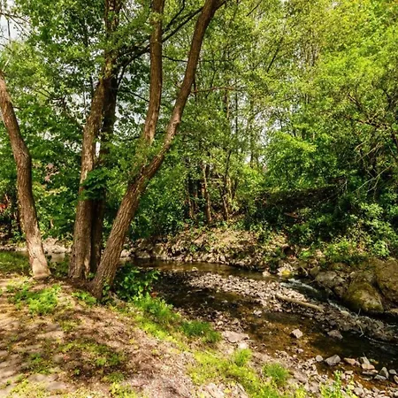 Welcoming In * Neustadt