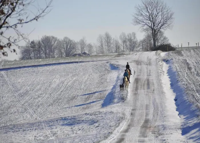 Vakantiehuis Welcoming In *