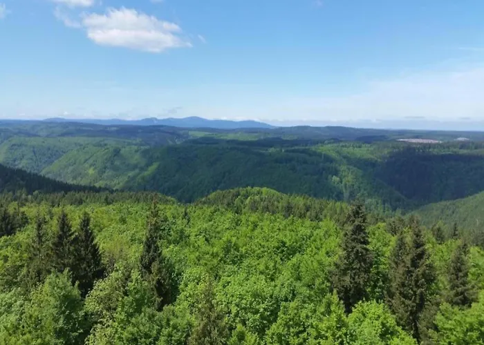 度假居 Welcoming In *