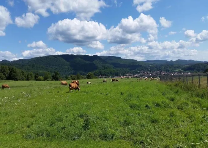 Welcoming In Neustadt