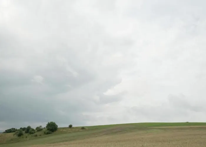 Welcoming In * Neustadt